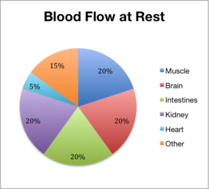 Blood flow at rest