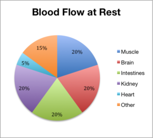 o fluxo de Sangue em repouso