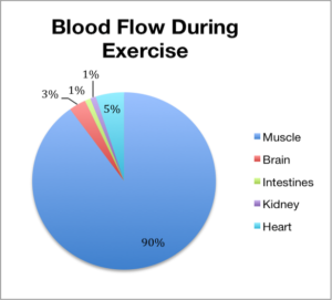 Blood flow during exercise