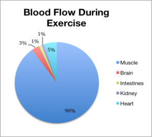 fluxul de sânge în timpul exercițiului