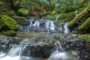 Cataract Falls in Mount Tamalpais State Park, one of the many natural attractions near San Francisco
