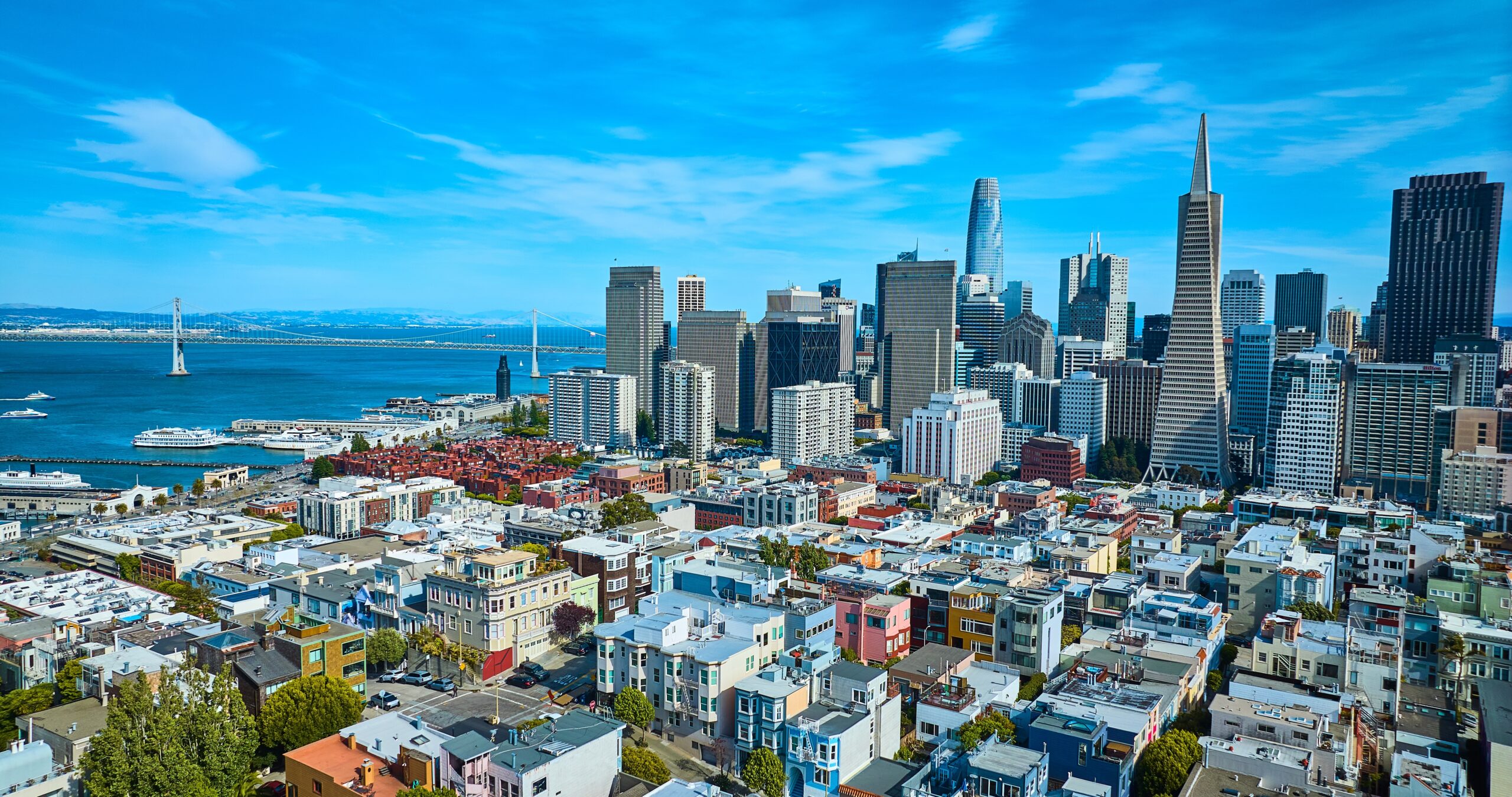The Transamerica Pyramid dominates the San Francisco City Skyline