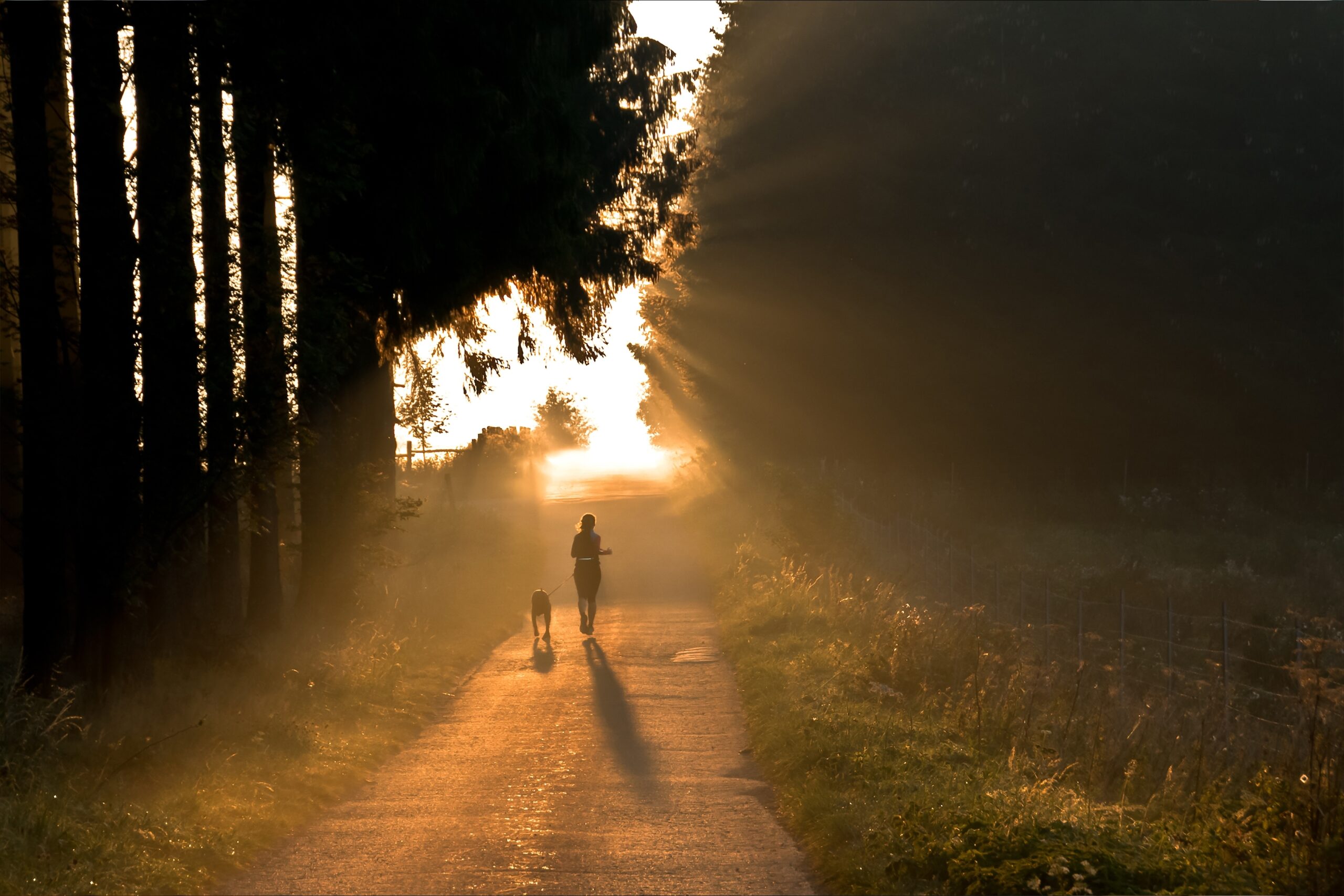A woman with a dog is running on a foggy morning down a country lane, managing her chronic illness with exercise.