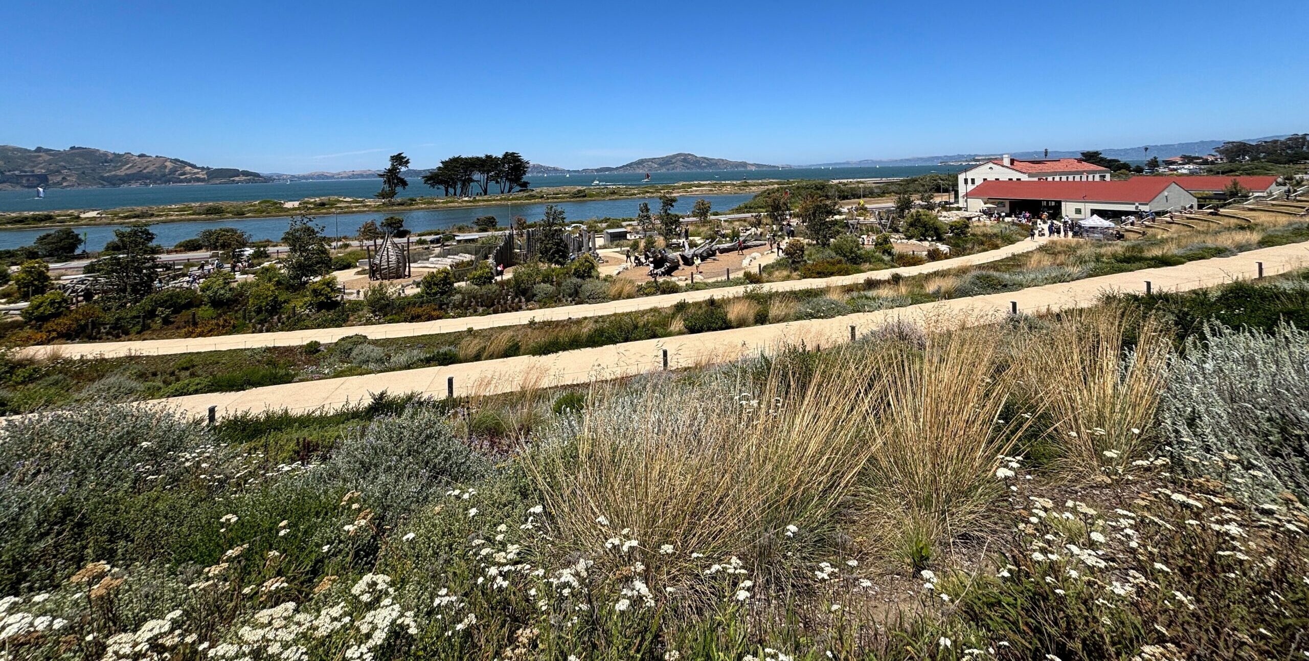 A view of the Presidio Tunnel Tops and the Bay with blue skies above
