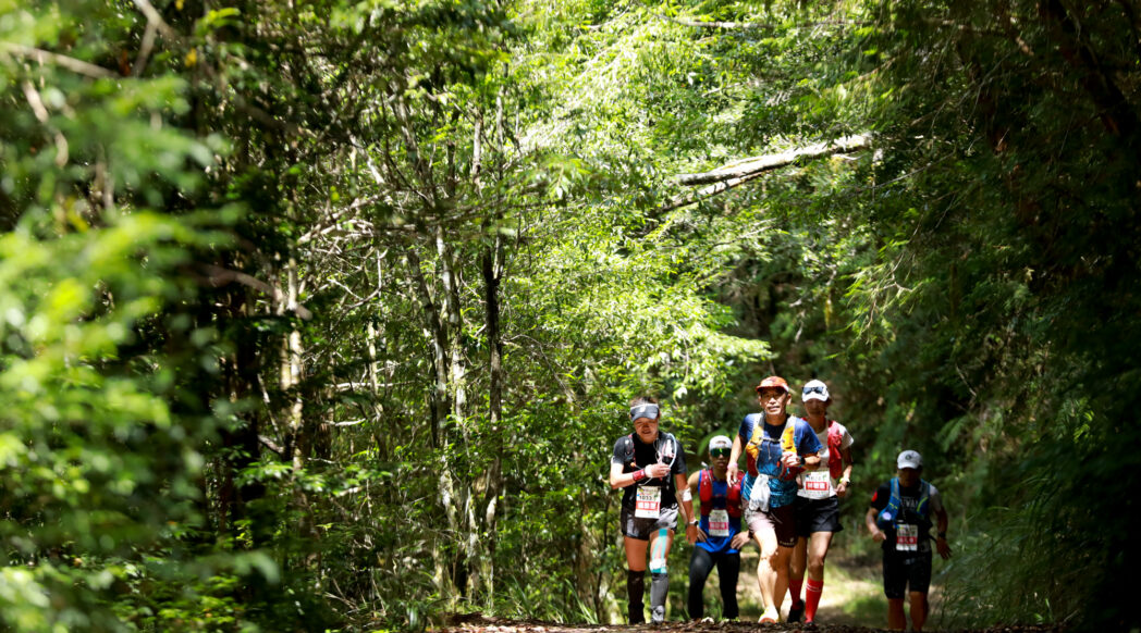 Runners at the Taiwania Ultra Trail run through the local lush forest