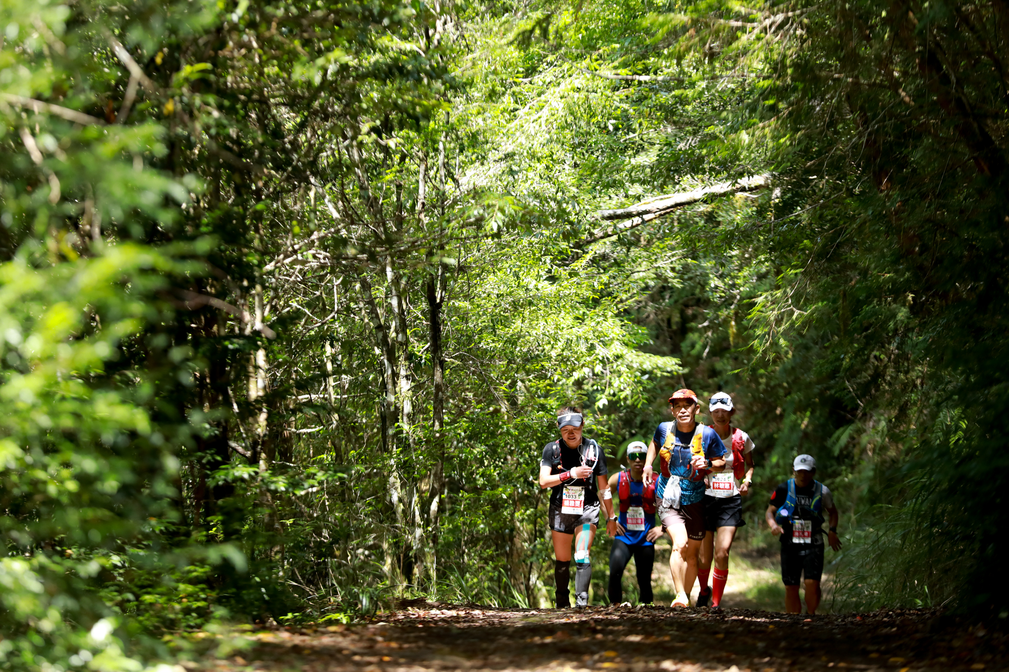 Runners at the Taiwania Ultra Trail run through the local lush forest