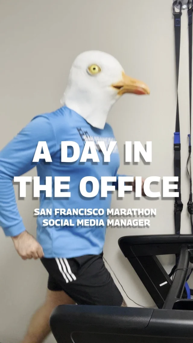 Seabastian the Seagull has his hands full with such a busy schedule before the San Francisco Marathon... 📆

#SanFranciscoMarathon #SFMarathon #SFM #runningcommunity #adayinthelife